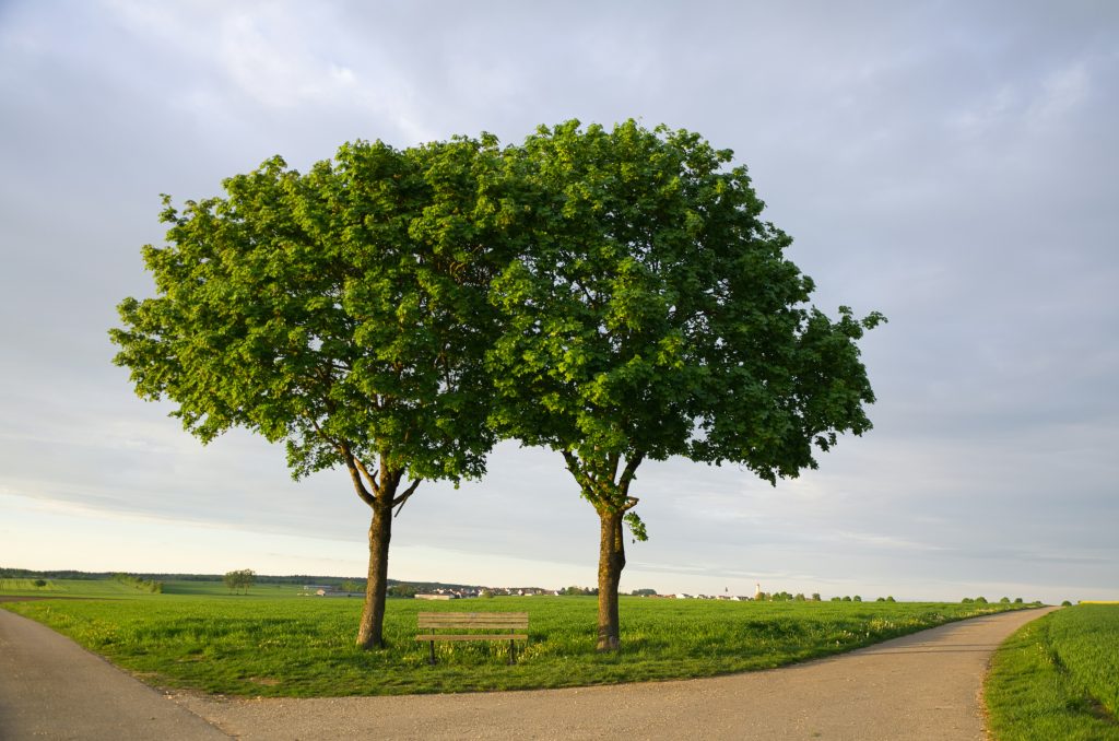 Bank zwischen zwei Bäumen in ruhiger Landschaft am Obermain