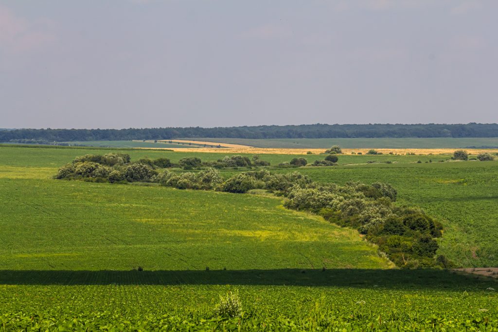 Landschaft zwischen Main und Jura mit Feldern, Hecken und Waldkanten in Oberfranken