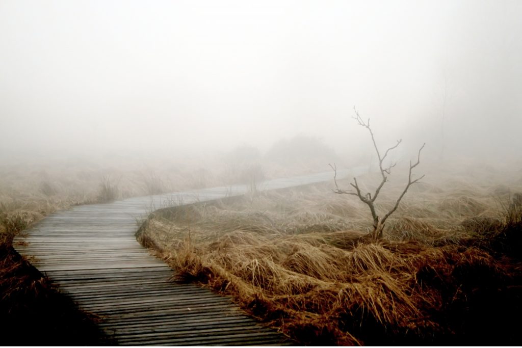 Zwischentöne einer Landschaft im Gottesgarten