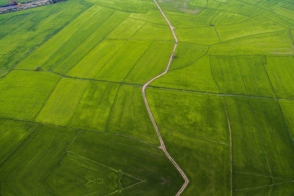 Kleinteilige Agrarlandschaft mit Feldern und Wegen als Ausdruck regionaler Struktur
