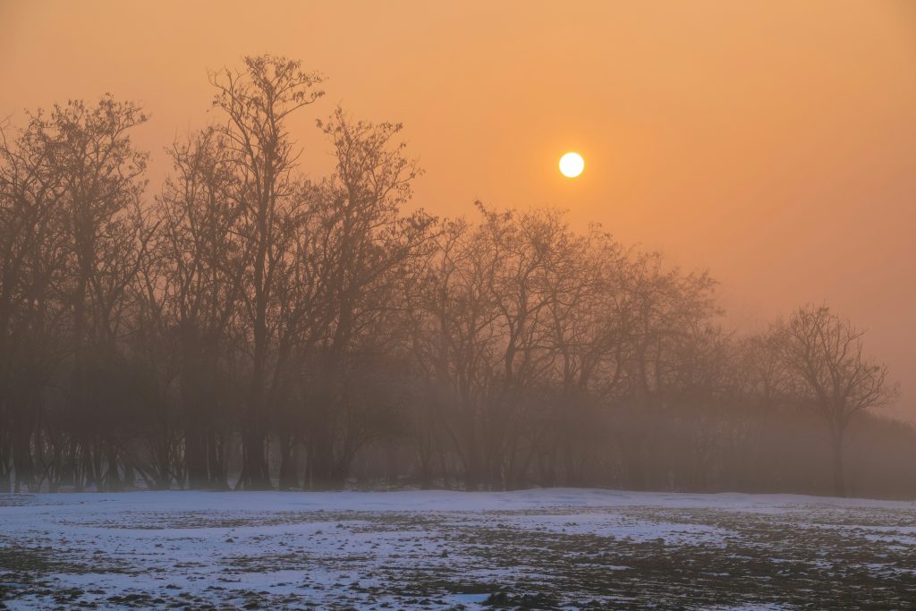Winterlicher Morgen am Obermain mit Nebel über den Feldern und tief stehender Sonne