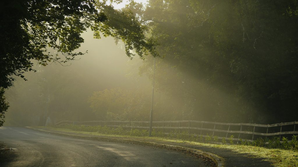 Landschaftsweg im Morgennebel mit Sonnenstrahlen zwischen Bäumen