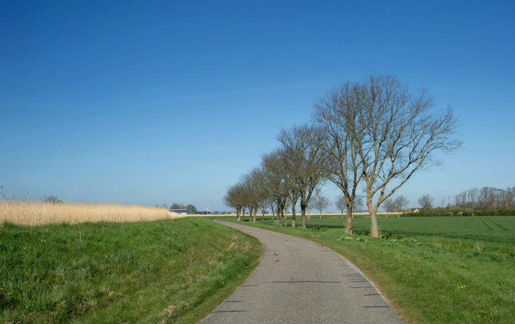Landschaft mit Weg und Baumreihe als Symbol für regionale Identität und Zugehörigkeit am Obermain