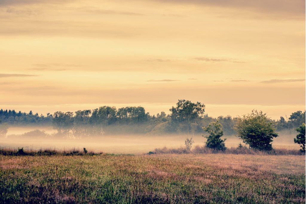 Ruhige Landschaft am Obermain mit Nebel über Wiesen und Feldern
