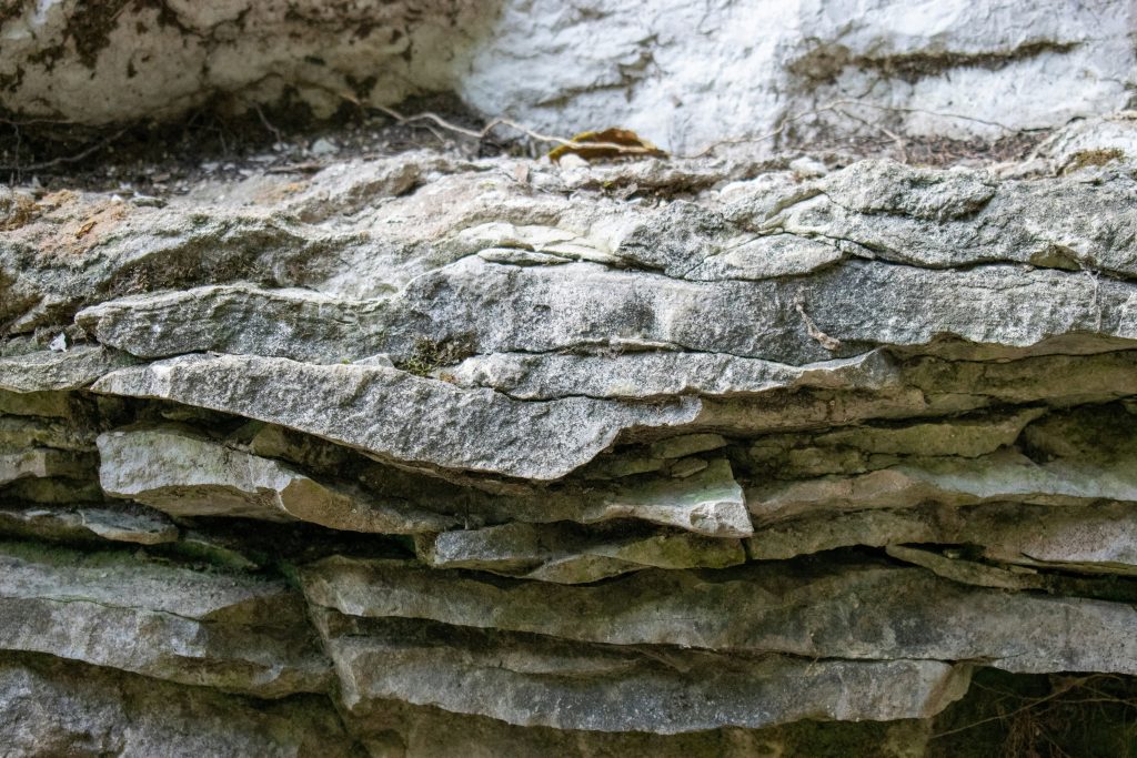 Freiliegender Kalkstein mit sichtbaren Schichten als geologische Struktur am Obermain