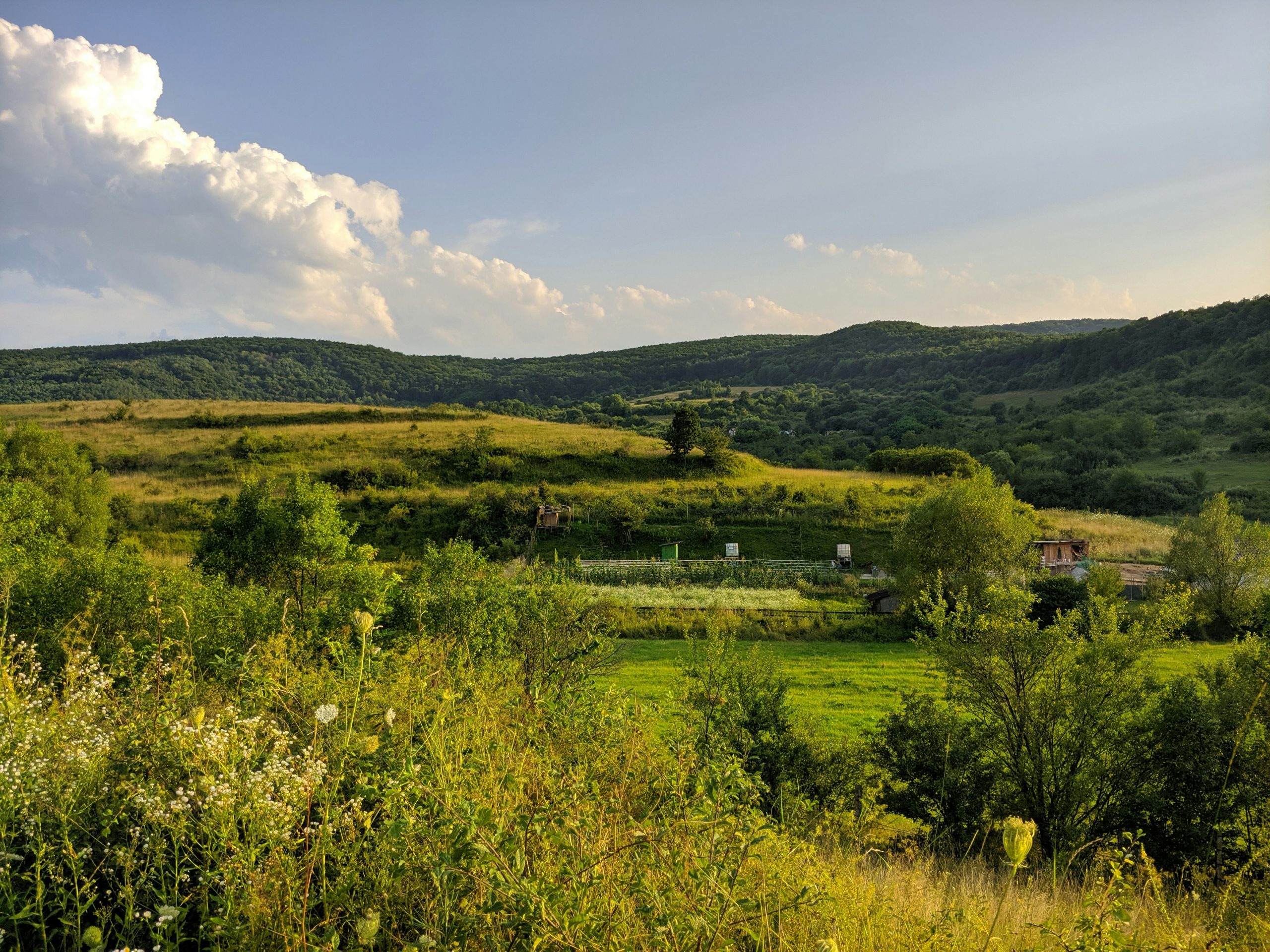Naturpark Obermain Jura mit Tal, Wiesen, Wald und sanften Höhen als zusammenhängende Kulturlandschaft
