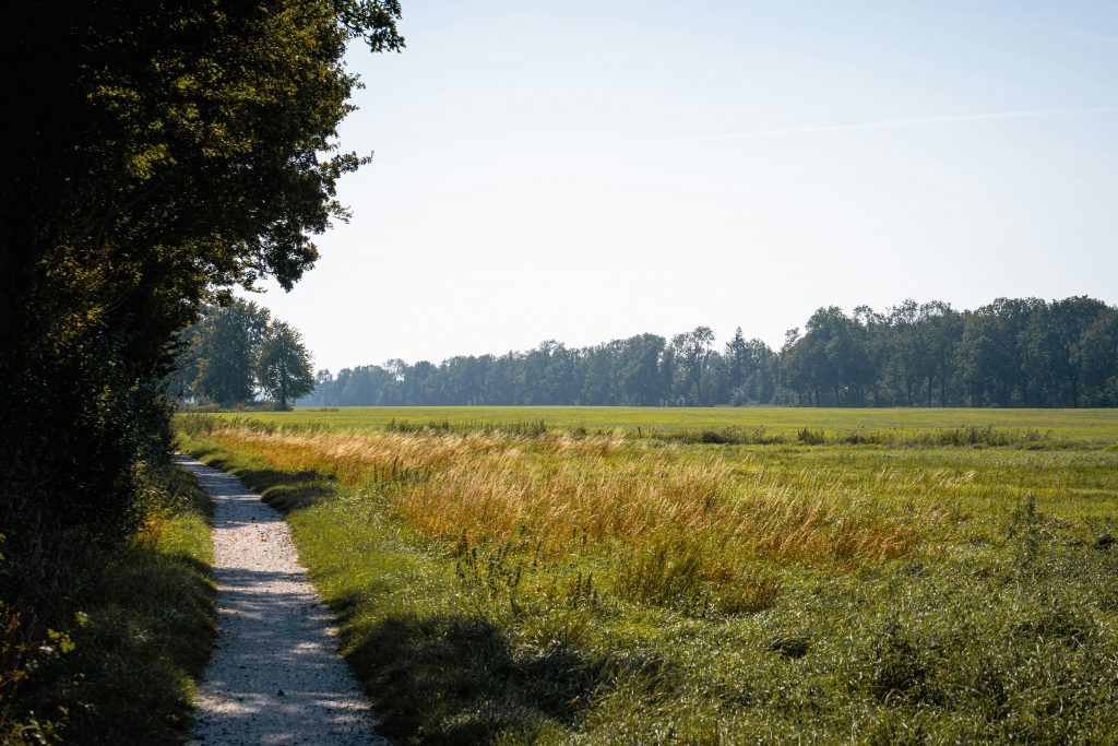 Schmaler Weg durch weite Wiesenlandschaft am Obermain, ruhige Strecke für Radfahren im Maintal