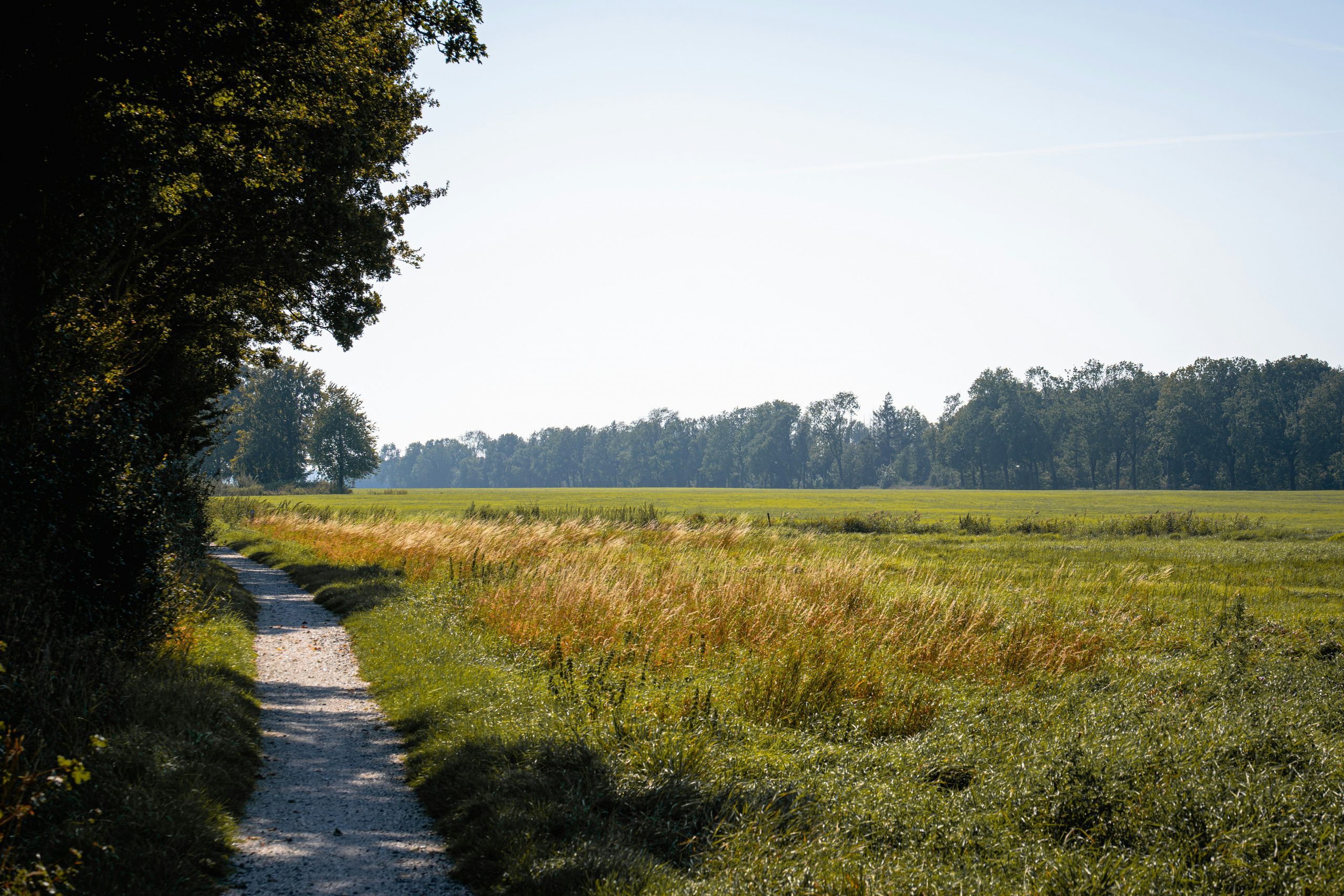 Schmaler Weg durch weite Wiesenlandschaft am Obermain, ruhige Strecke für Radfahren im Maintal