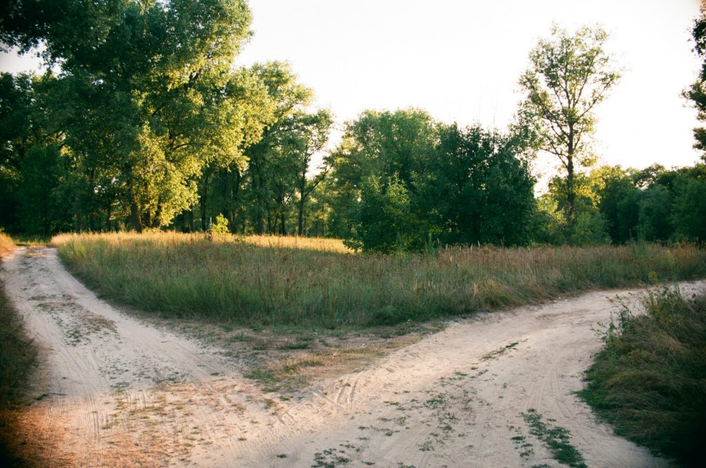 Weggabelung in natürlicher Landschaft als Symbol für strategische Projektentscheidung im Tourismus